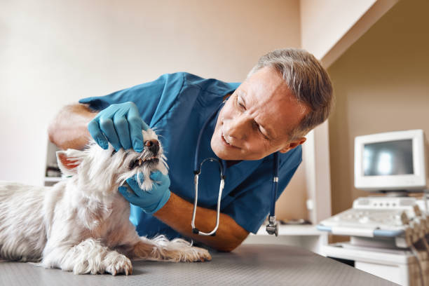Best Emergency Gum Treatment in Middlesex, NJ
